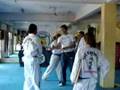 Fradejas examen