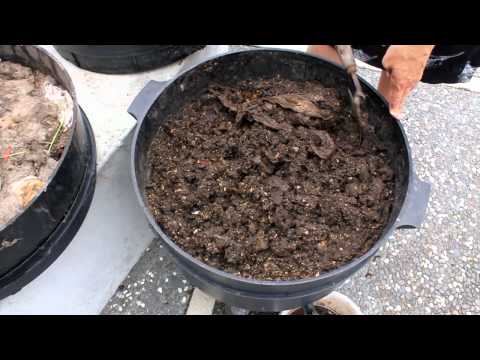 how to harvest vermicast