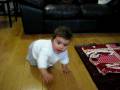 Isabella Crawling
