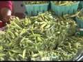 Preparing Edible Podded Peas