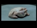 A me 'sto video continua a farmi ridere... http://t.co/LMLJKlD4