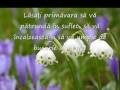 Au débout du printemps.....recevez cette Mărțișor