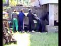 videos de power rangers vs ape genzanesi