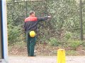 Bedrijf in Oosterhout kapt illegaal 146 bomen Bedrijf in Oosterhout kapt illegaal 146 bomen