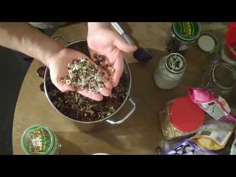 how to fertilize protea