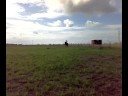 Training dressage programme LB:1