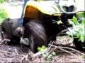 Four Wheeling: Expedition Sexy Penguin