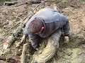 Wyciąganie buta wyciągarką