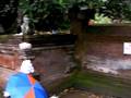 videos de Bali - Tirta Empul - The Holy Spring Temple