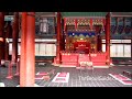 Click here to watch this video Geunjeongjeon Hall At Gyeongbokgung Palace In Seoul, South Korea