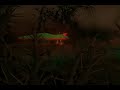 Adventures of EIO - Episode I Adventures of EIO - Episode I