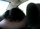this is my great friends. we convic ...
