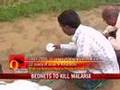 Mosquito bednet experiment to eradicate Malaria