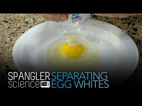 Separating Egg Whites and Egg Yolks - Cool Science Experiment