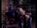 vacca scarinata ad Aragona