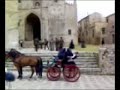 baronessa di carini