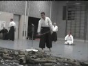 FuRinKaZan Dojo - Vincent 2 - Tameshigiri olv Willem Bekink