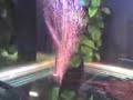 Tornado in the tank 1