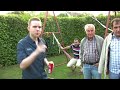 Garden Magic by TimurY Garden Magic by TimurY