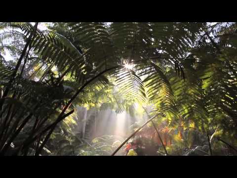 Be Love ~ In Memory of Kumu Raylene Kawaiaea