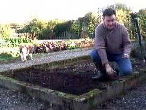 Hoggywart - Taking hardwood cuttings is an easy and reliable way of increasing your stock of plants, Martin Fish from Garden News shows you how.