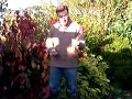 Hardwood Cuttings Hardwood Cuttings