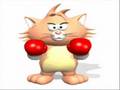 the next generation boxers