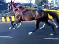 Horse Race Malad To Bandra