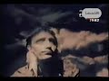 1982 Psychedelic Furs Great Song Vid