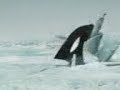man gettin eatin by a whale