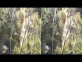 Sunol's Little Yosemite in stereoscopic 3D - YouTube