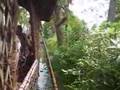 Kerala Backwaters