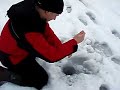 Secret pace ice fisching troute pilkki suomi finlande