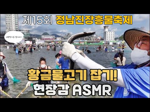 [제15회 정남진 장흥 물축제 ] 황금물고기(대왕 장어)를 잡아라! 
