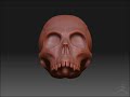 ZBrush skull ZBrush skull