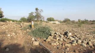 قرية دلاته المهجرة / The destroyed Palestinian village of Dallata