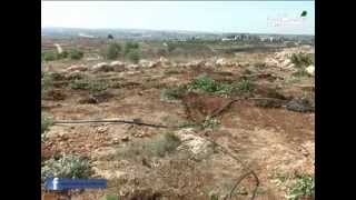 تقرير تجريف الاراضي وقطع الاشجار في قرية راس عطية - احمد شاور