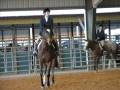 Horse Show 11-22-08