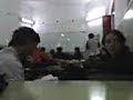 gato gato