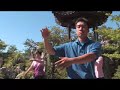 Simon Sees Dr. Sun Yat Sen Chinese Garden