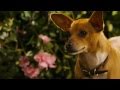 Beverly Hills Chihuahua 2 (Sneak Peek)