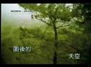 蔡依林,,