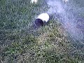 smoke bomb smoke bomb