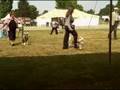 videos de draco lexington