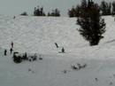Snow Baording taho USA