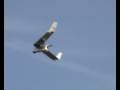 swift rigid wing soaring bopeep