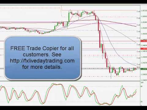 FX Live Day Trading Live Forex Trading Room Results | 02/07/2013