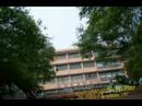 Chengdu Travel-Panda Research Base Center Video31