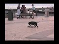 Nando skateboarding