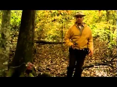 leprechaun - The Leprechaun lures J.D. into a trap by imitating a cat, biting and injuring his hand. Tory and the others rush him to the hospital, followed by the Leprech...